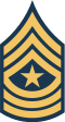 파일:Army-USA-OR-09c.svg.png