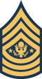 Army-USA-OR-09a.svg.png