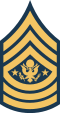 파일:Army-USA-OR-09a.svg.png