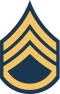 Army-USA-OR-06.svg.png