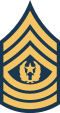 파일:Army-USA-OR-09b.svg.png