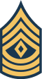 파일:Army-USA-OR-08a.svg.png