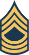 파일:Army-USA-OR-08b.svg.png