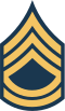 파일:Army-USA-OR-07.svg.png
