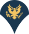 파일:Army-USA-OR-04b.svg.png