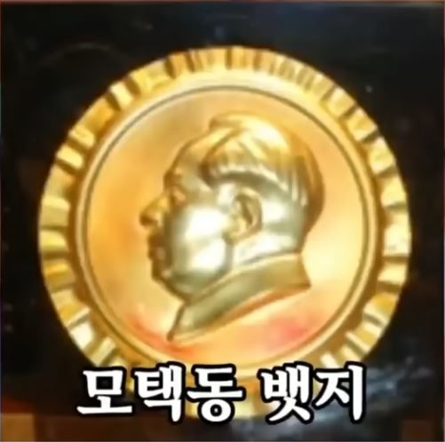 모택동배지.JPG