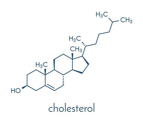파일:Cholesterol.jpg