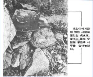 호식총 산군호랑이 인간관계 민속학19900308.png