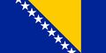 보스니아 헤르체코비나 국기.jpg