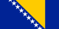 보스니아헤르체고비나 국기.png