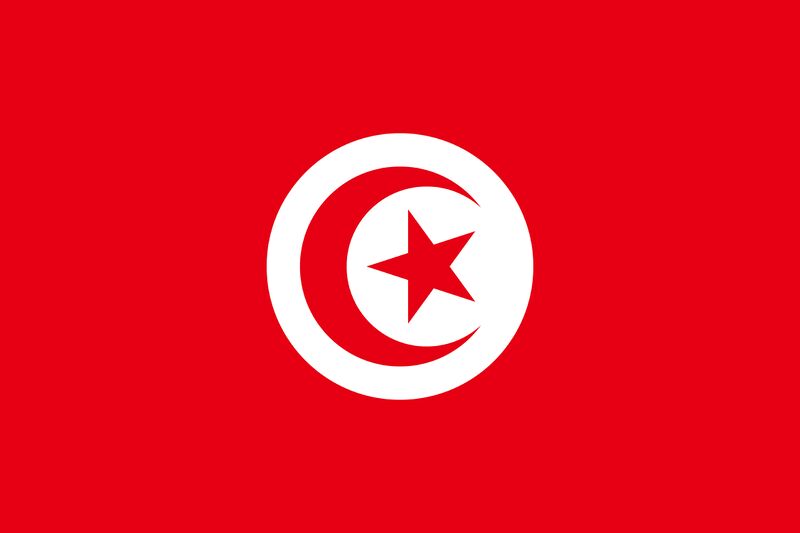 파일:튀니지 국기.jpg