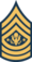 Army-USA-OR-09a.svg.png