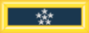 Army-USA-OF-11.svg.png