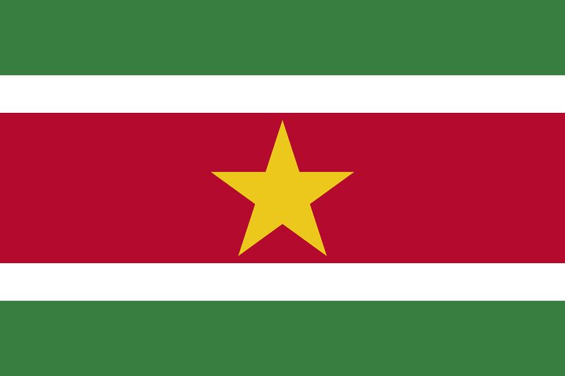파일:수리남 국기.jpg