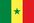 세네갈 국기.jpg