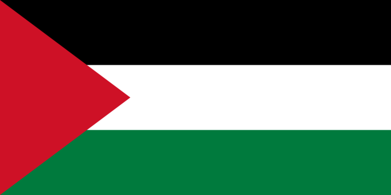 파일:팔레스타인 국기.png