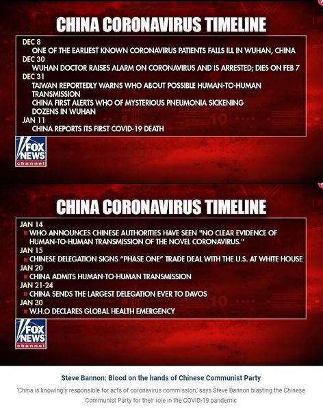 파일:China-Coronavirus-Timeline.jpg