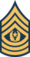 Army-USA-OR-09b.svg.png