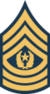 Army-USA-OR-09b.svg.png