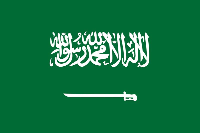 파일:사우디아라비아 국기.jpg