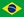 브라질 국기.jpg