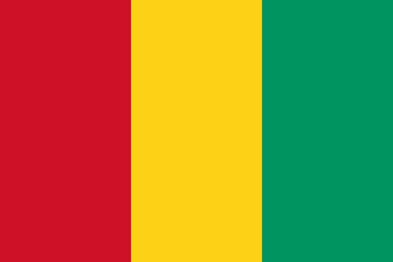 파일:기니 국기.jpg