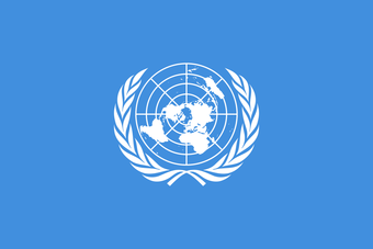 유엔 기.png