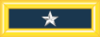 Army-USA-OF-06.svg.png