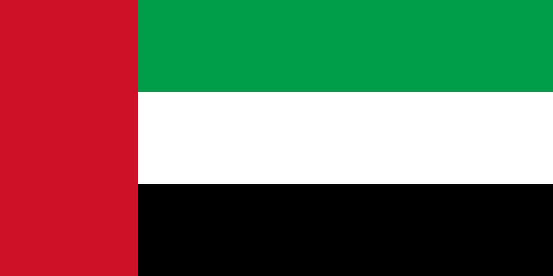파일:아랍에미리트 국기.jpg