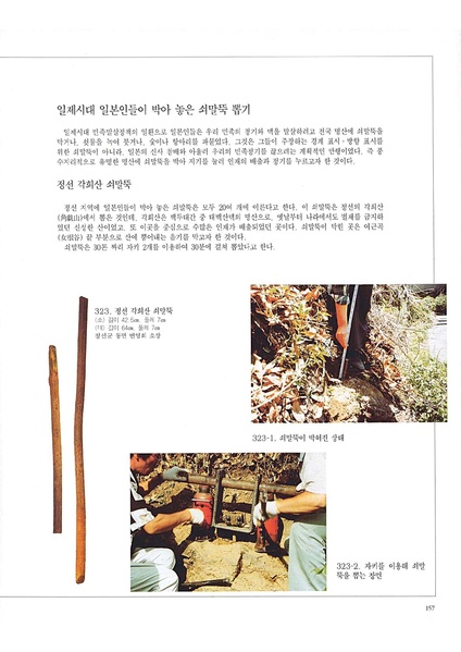 파일:쇠말뚝-국립민속박물관전시도록(1995).pdf