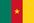 카메룬 국기.jpg