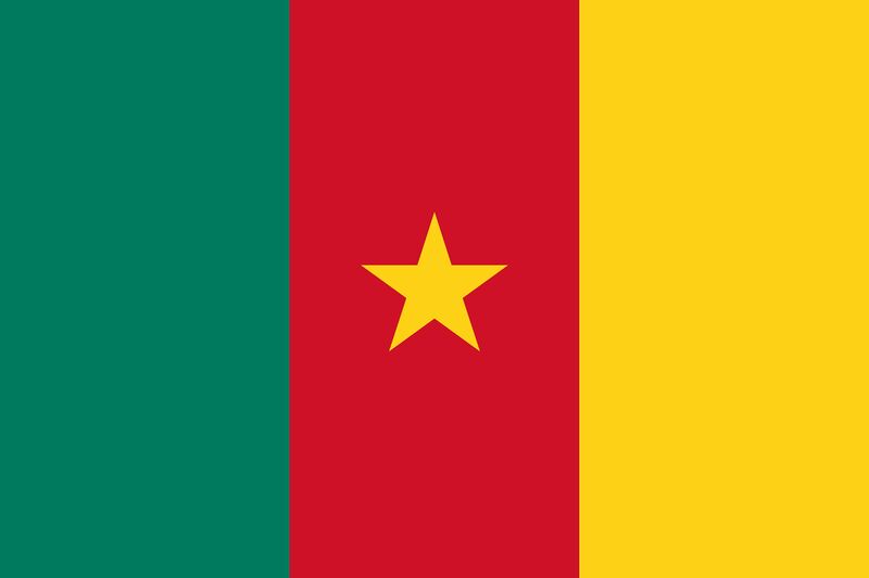 파일:카메룬 국기.jpg